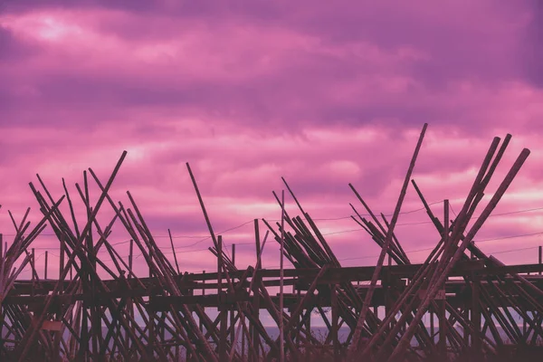 Wooden rack for air-drying fish against purple sunset sky. Fishing village, Lofoten Islands, Norway