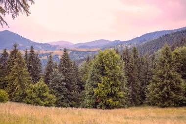Yazın gün batımında dağların yamaçlarına bakın.