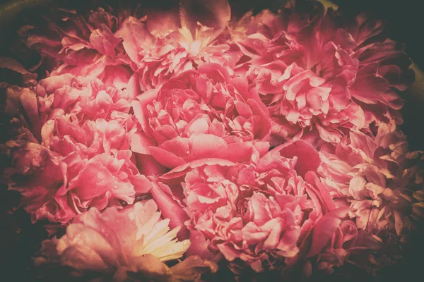 Red Black Vintage Grunge Background Peony Flowers — Stock Photo, Image