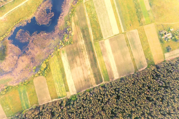 Bovenaanzicht Van Akkerbouwvelden Winding Stream Het Platteland Zomer Landelijk Landschap — Stockfoto