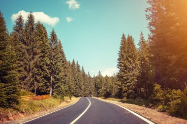 Sonbaharda ön camdan dağ kıvrımlı yol manzarası. Karpat Dağları. Ukrayna