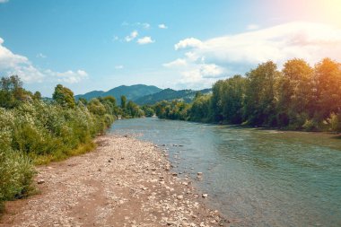 Güneşli bir günde dağ nehri ile güzel bir yaz manzarası. Black Cheremosh Nehri, Ukrayna