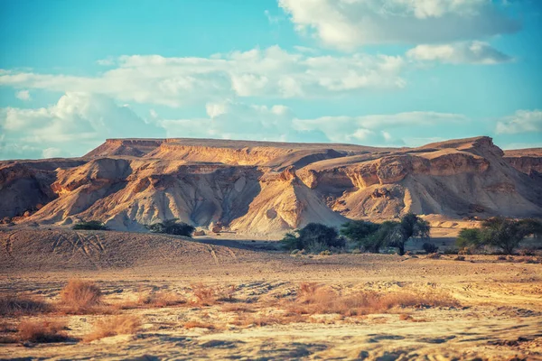 Widok Pustynię Widok Dolinę Górami Tle Charakter Izraela — Zdjęcie stockowe