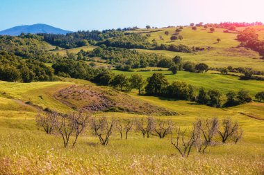 Güzel manzara, bahar doğası. Dağ manzarası. İtalya 'nın Toskana kentindeki kayan tepelerdeki güneşli tarlaların manzarası