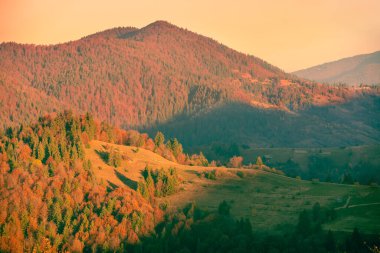 Güneşli bir sonbahar gününde dağların renkli yamaçlarının en üst görüntüsü.