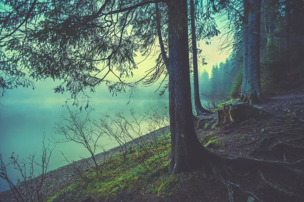 Λίμνη Synevyr Ένα Φθινοπωρινό Ομιχλώδες Πρωινό Καρπάθια Ουκρανία — Φωτογραφία Αρχείου
