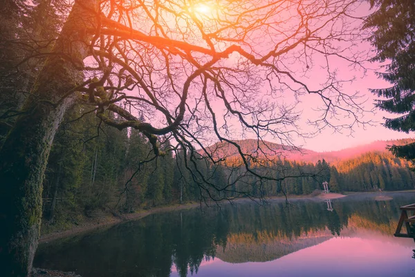 Lago Synevyr Uma Manhã Nebulosa Outono Cárpatos Ucrânia — Fotografia de Stock