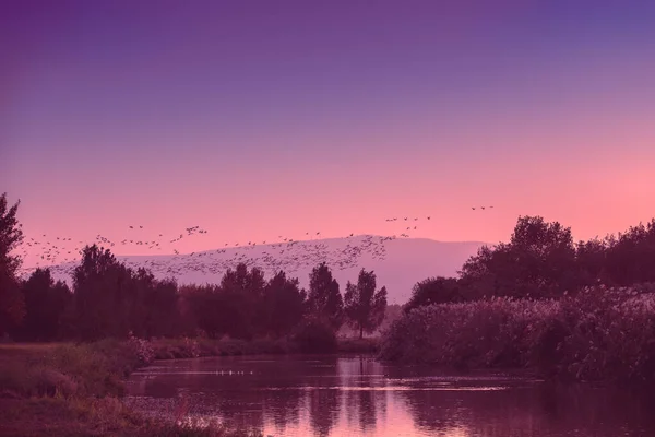 풍경이야 과아름다운 이스라엘 북부의 골짜기 — 스톡 사진