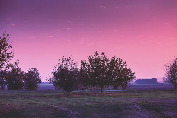 Вечером Сельский Пейзаж Долина Хула Севере Израиля Закате — стоковое фото