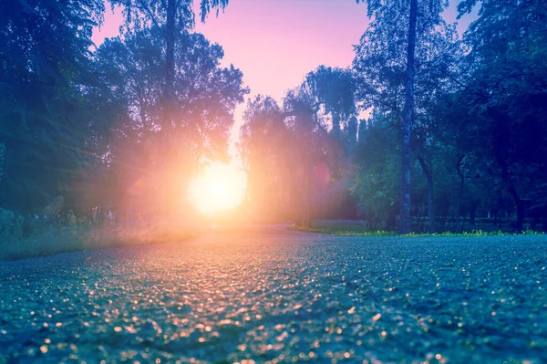 Прогулянка Парку Заході Сонця — стокове фото
