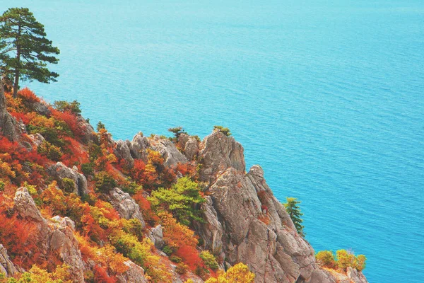 Skalisty Morski Krajobraz Jesienią Widok Góry Koshka Simeiz Krym — Zdjęcie stockowe