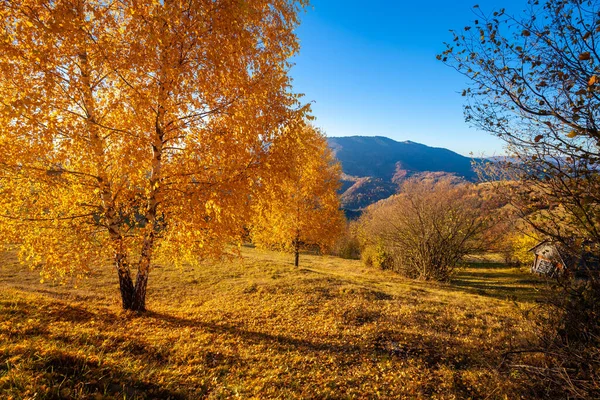 Horská Krajina Podzim Slunečný Den — Stock fotografie