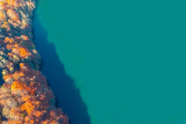 Ліс Озері Восени Вид Зверху — стокове фото