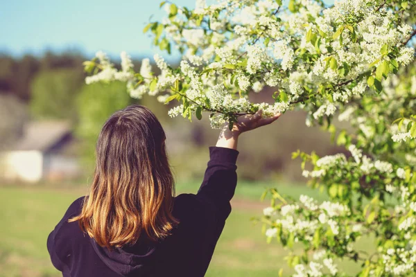 Ung Flicka Står Nära Ett Blommande Träd Parken Solig Dag — Stockfoto