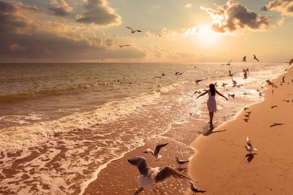 Seascape 아름다운 하늘로 떠오릅니다 해변에 하늘에 여자가해 다닌다 갈매기가해 — 스톡 사진