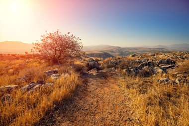 Arbel uçurumu. Celile, İsrail