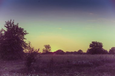 Akşam güneş batarken kırsal alan. Ağaçların silueti güzel bir akşam gökyüzüne karşı