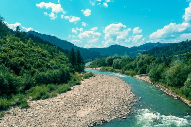Yaz güneşli bir günde dağ nehri. Doğa manzarası. Karpat Dağları, Avrupa