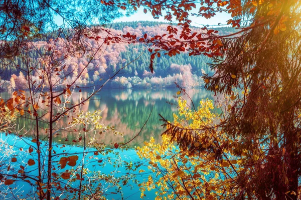 Sonbaharda Dağ Gölü — Stok fotoğraf
