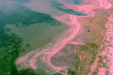 Kuru haliçlerin üst manzarası. Kara dokusu. Soyut doğa arkaplanı.