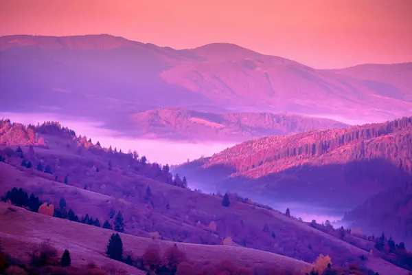 Beautiful Mountains Sunset Trendy Velvet Violet Color Carpathian Mountains Ukraine — Stock Photo, Image