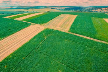 Kırsal kesimin yukarısından bak. Yazın tepelerdeki ekili tarlaların manzarası