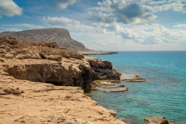 Kayalık deniz kıyısında. Doğa Kıbrıs