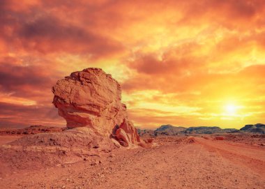 Rocky Dağı Çölü. Timna Park, İsrail 'de bir buçuk mantar.