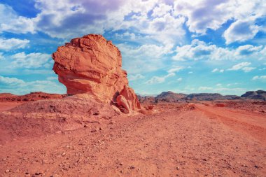 Rocky Dağı Çölü. Timna Park, İsrail 'de bir buçuk mantar.