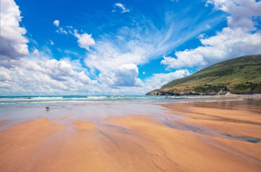Kumsal. Güneşli bir günde okyanus