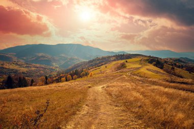 Mountain landscape on a sunny autumn day. View of the mountain slopes and dirt road. Beautiful nature landscape. Carpathian mountains. Ukraine