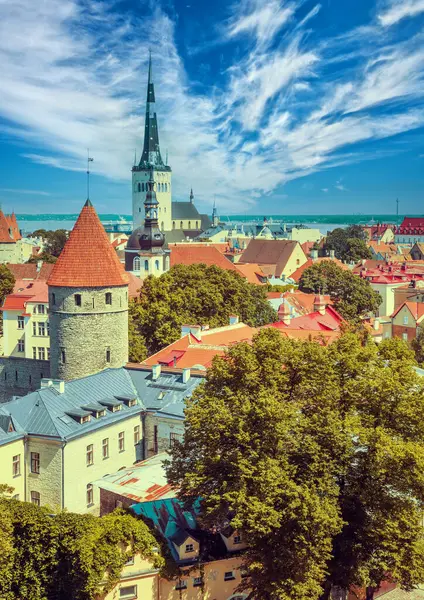 panoramik şehrin eski tallinn, Estonya