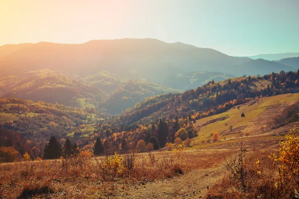 Sonbaharda dağ sırtı. Dağ sonbahar manzarası