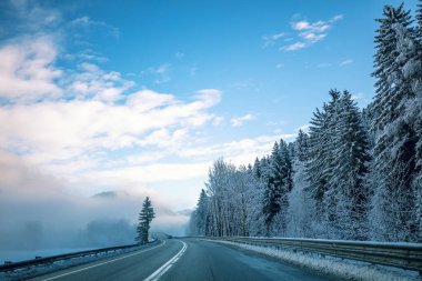 Yol kenarında kışın karlı çam ağaçları olan otoyol..