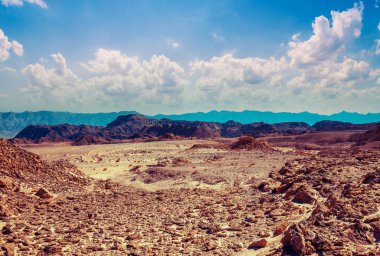 Rocky Dağı Çölü. Doğal manzara.