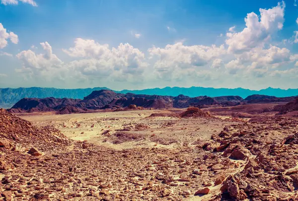 Rocky Dağı Çölü. Doğal manzara.
