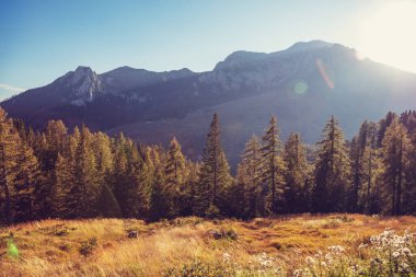 Güneşli bir günde dağ manzarası. Grossglockner High Alpine Yolu 'ndan görüntü. Avusturya, Avrupa