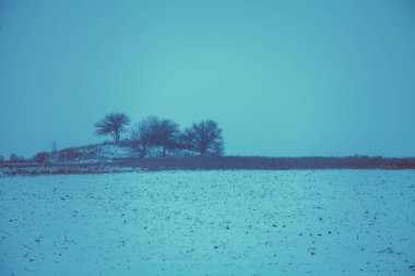 Kar yağışında kırsal alan. Ufukta ağaçlar olan bir tarla manzarası. Noel arkaplanı. Minimalist manzara