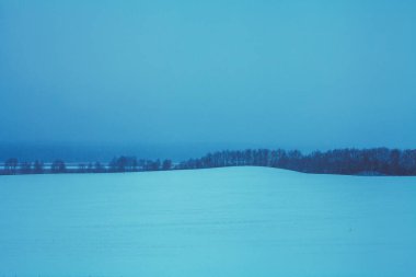 Kar yağışında kırsal alan. Ufukta ağaçlar olan bir tarla manzarası. Noel arkaplanı. Minimalist manzara