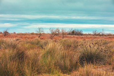 Bulutlu gökyüzü ile vahşi bir alan. Sonbaharda doğa parkını tartışacağız. Provence France Europe
