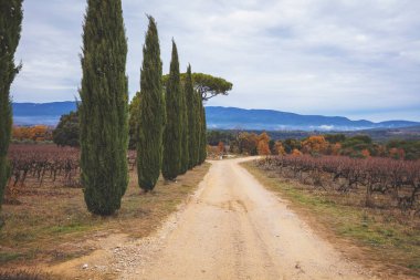 Üzüm ekimi. Toprak köy yolu ve selvi ağaçları olan sonbahar kırsal arazisi. Bulutlu gökyüzü olan dağ vadisi, Fransa, Avrupa