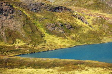 Dağ gölü manzarası. Vahşi doğa, Kuzey Norveç 'in güzel sert doğası, Avrupa