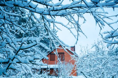 Karla kaplı ağaç dalları vasıtasıyla kır evi manzarası. Karlı kıştan sonra ormandaki köy