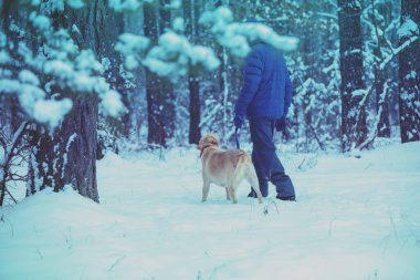 İnsan ve köpek en iyi arkadaşlardır. Bir adam ve tasmalı bir köpek kar fırtınası sırasında karlı bir ormanda yürüyorlar.