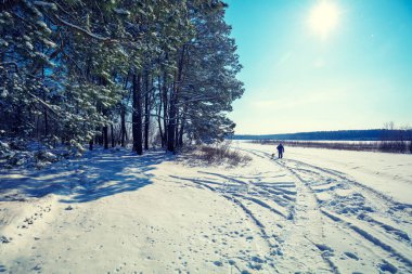 İnsan ve köpek en iyi arkadaşlardır. Bir adam ve tasmalı bir köpek ormanın kenarında karlı bir yolda yürüyorlar.