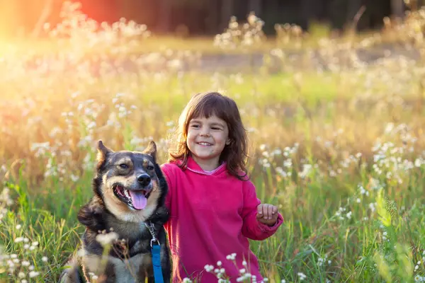 Glückliches Kleines Mädchen Mit Hund Das Frühling Blumenfeld Spazieren Geht Stockbild
