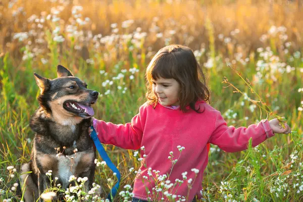 幸せな女の子と犬は最高の友達です 女の子は花の牧草地で犬と遊んでいる ストックフォト