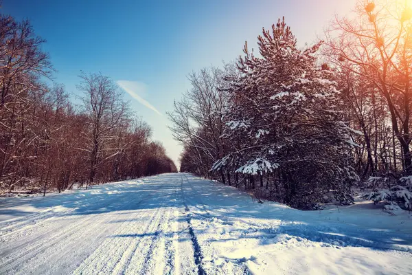 Снігова Сільська Дорога Сонячний Зимовий День Стокова Картинка