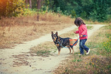 Mutlu küçük kız ve köpeği baharda kırsalda yürüyor.