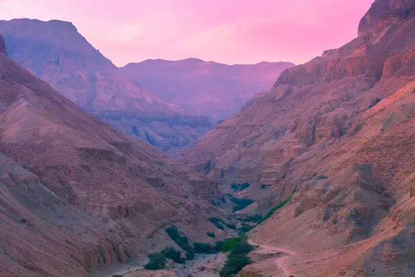 Wüstenlandschaft Morgen Natur Israels Region Masada Stockfoto